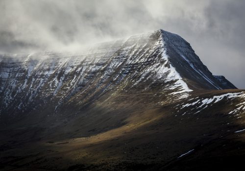 Portrait of Cribyn