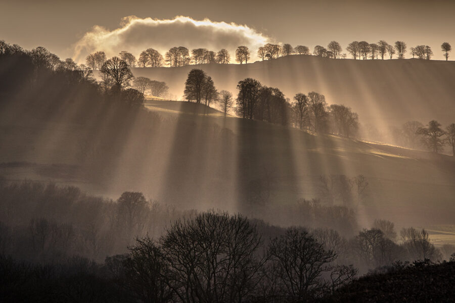 Misty tree ridgeline, Brecon Beacons