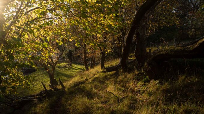 Autumn Walk In The Brecon Beacons
