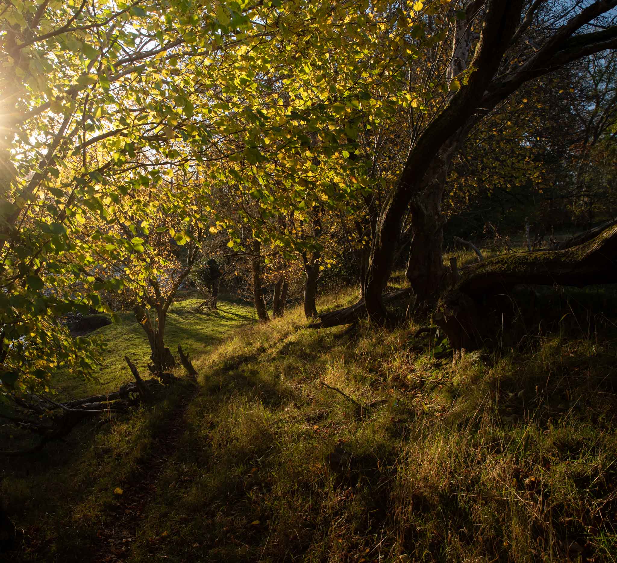 Autumn Walk In The Brecon Beacons